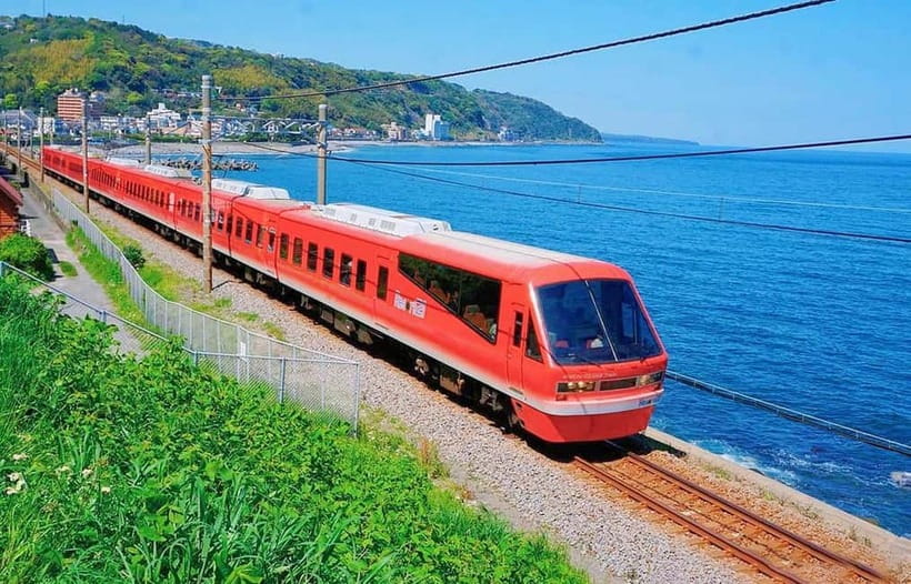 Tokyo: Izu Scenic Oceanview Train, Volcano, Coast Day Trip - Omuroyama, the matcha-pudding volcano