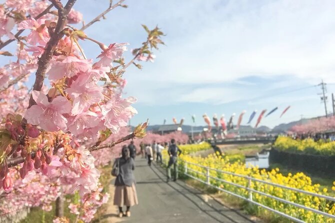 Tokyo-Izu: Volcano, Ocean& Capybara Cuddle with Izu Scenic Train - The Izu Scenic Train adds local color