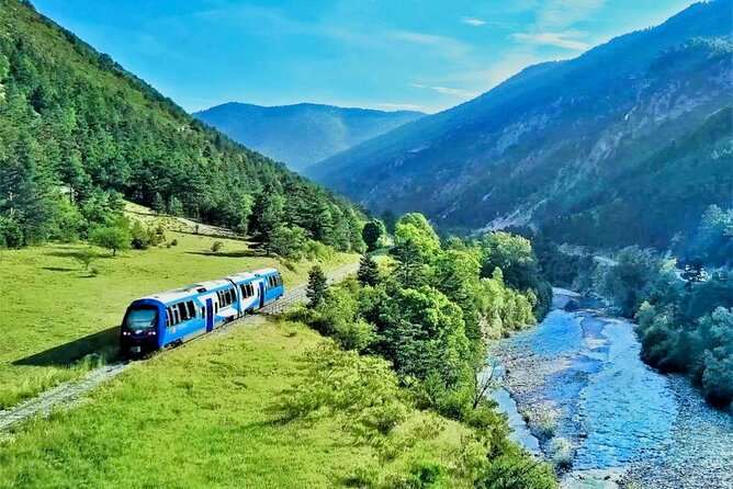 Tour with the Mountain Train, Trek to Mystic Forest and Castle - Why this day trip from Nice is worth your time