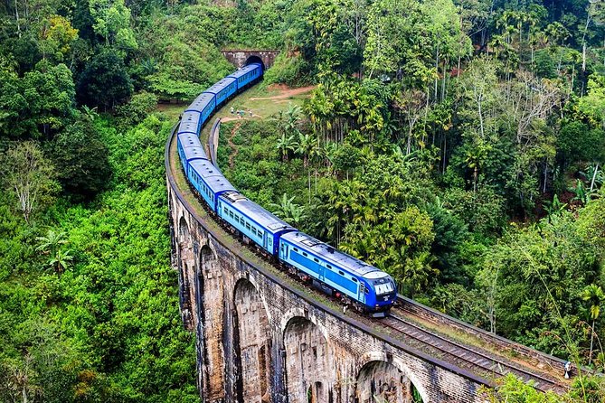 Train Exp. through the Alps (Royal Baroque Route from Nice) - Guides add the value you cannot get from a timetable