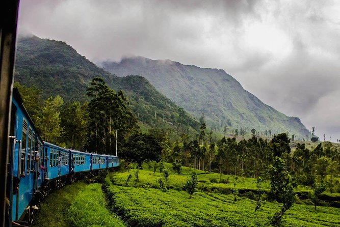 Train from Kandy to Colombo - Colombo Fort: arriving in central Colombo