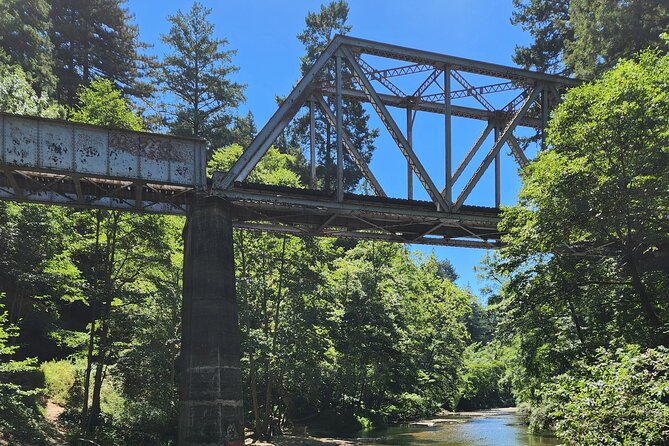 Train Ride Adventure through Mother Natures Giant Redwoods Park - Who will enjoy this day most