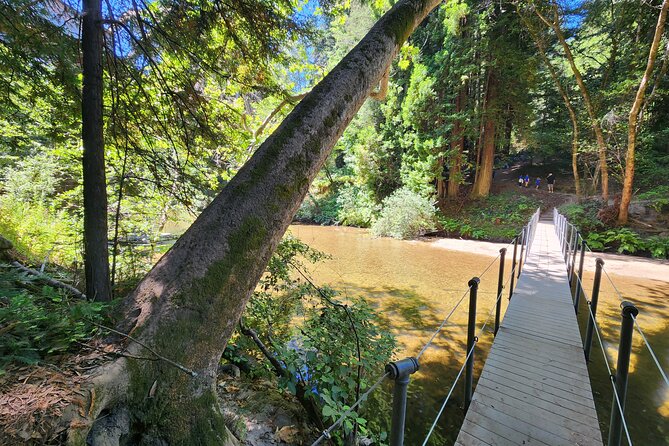 Train Ride Adventure through Mother Natures Giant Redwoods Park - Should you book the redwood train tour?