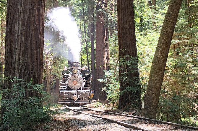 Train Ride Adventure through Mother Natures Giant Redwoods Park - A brief Santa Cruz wildlife stop