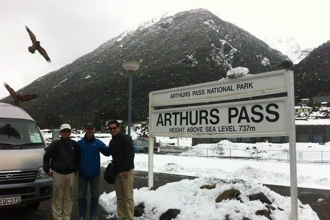 Tranz Alpine Train Tour - Why this day trip works so well from Christchurch