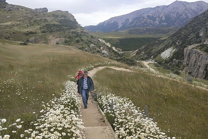 Tranz Alpine Train Tour - Who should book this Arthur’s Pass day trip
