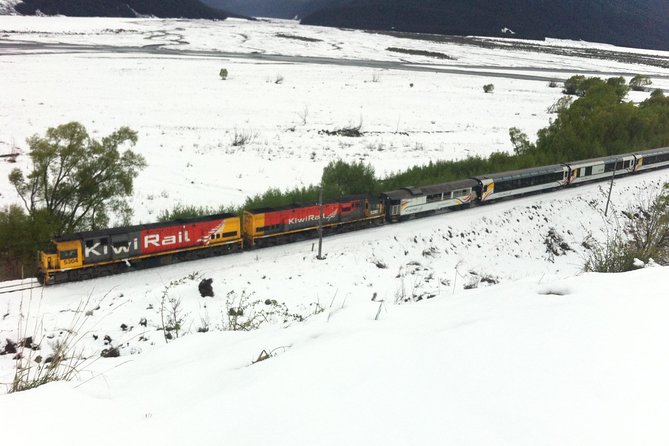 Tranz Alpine Train Tour - The early start and the drive to Springfield