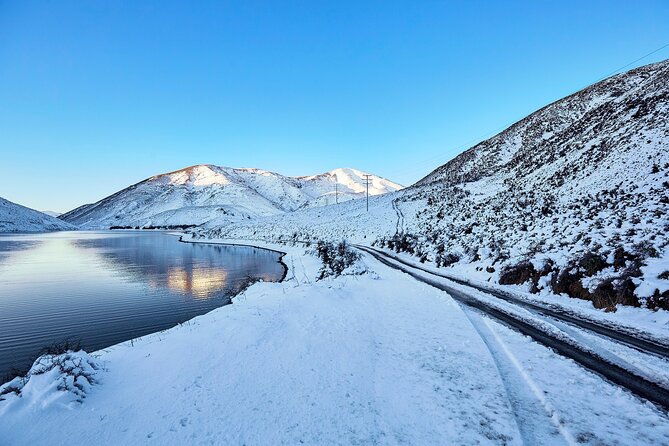 TranzAlpine Train, Arthur's Pass and Castle Hill Day Trip - The TranzAlpine from Christchurch to Arthur’s Pass