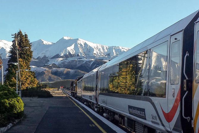 TranzAlpine Train Journey: Christchurch to Greymouth - The West Coast descent through beech forest