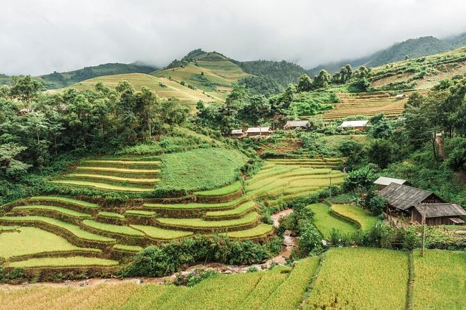 Trekking Sapa - Bac Ha Market: Sleep on Train & Homestay - Key points before you book