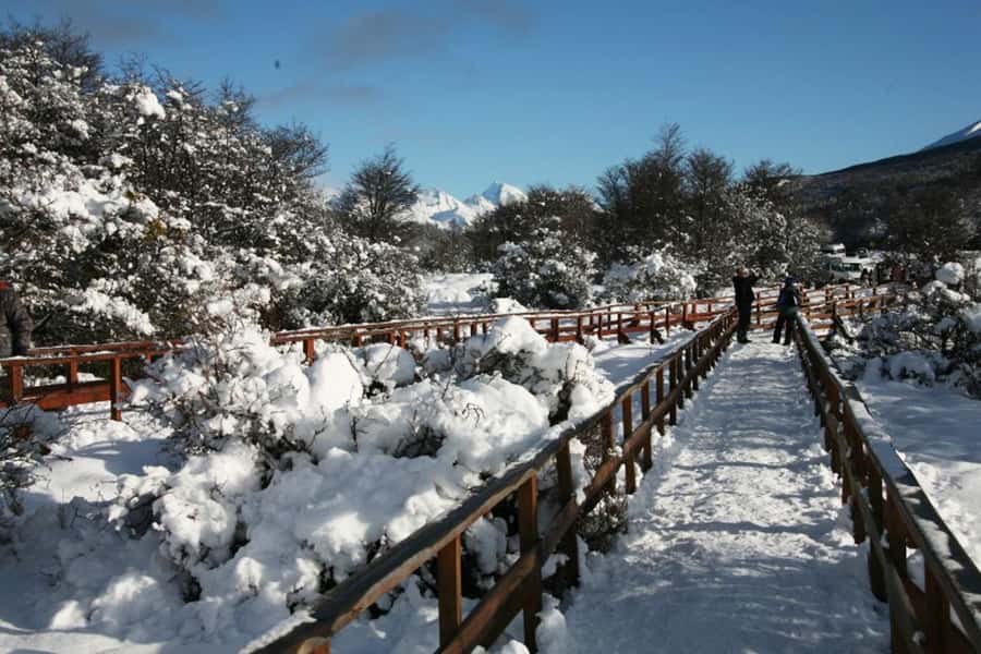 Ushuaia: End of the World Train Ride & Tierra del Fuego Park - Who will enjoy this half-day outing?