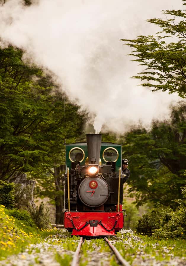 Ushuaia: National Park, Train, and Beagle Channel Navigation - Penguins at Isla Martillo: check the route carefully