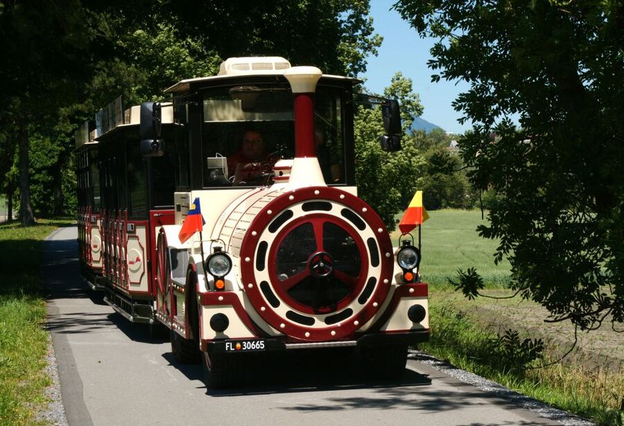Vaduz: City Train Tour - Key points to know before you board