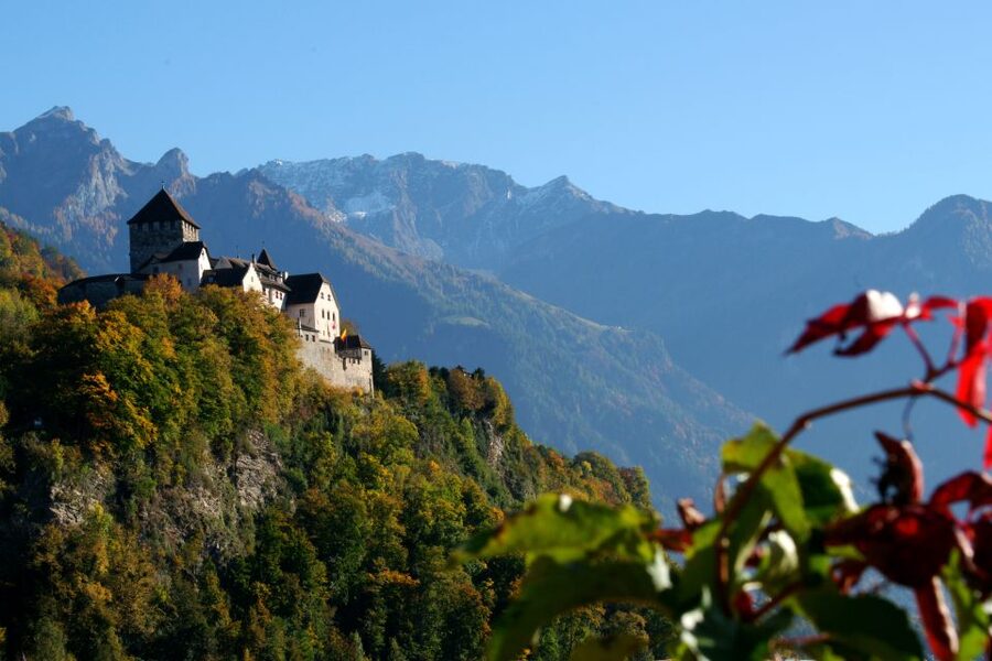 Vaduz: City Train Tour - What $15 gets you