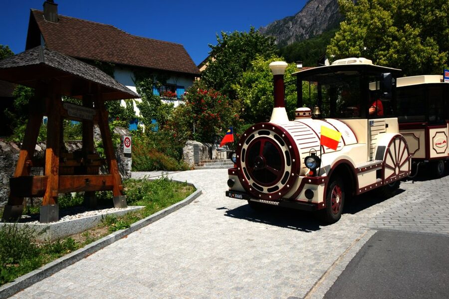 Vaduz: City Train Tour - Along the vineyards toward the Red House