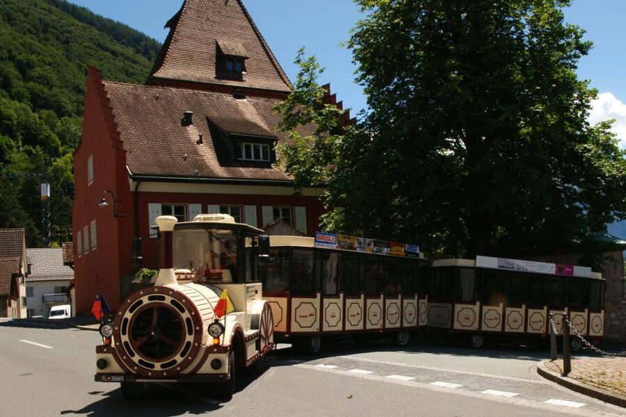 Vaduz: City Train Tour - Out through the green countryside