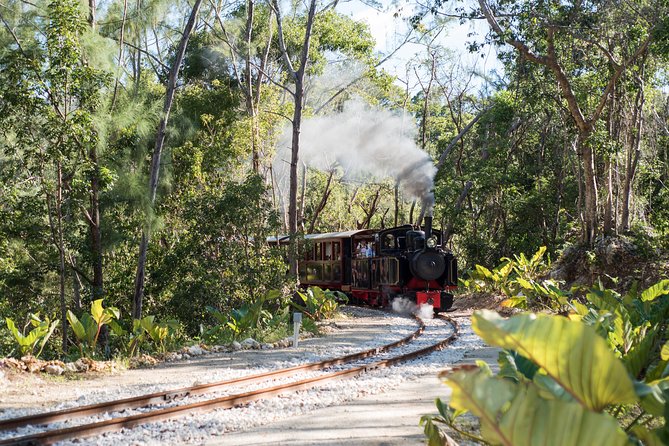 Victorian Steam Railway to Cherry Tree Hill + Great House Tour - Key points before you go