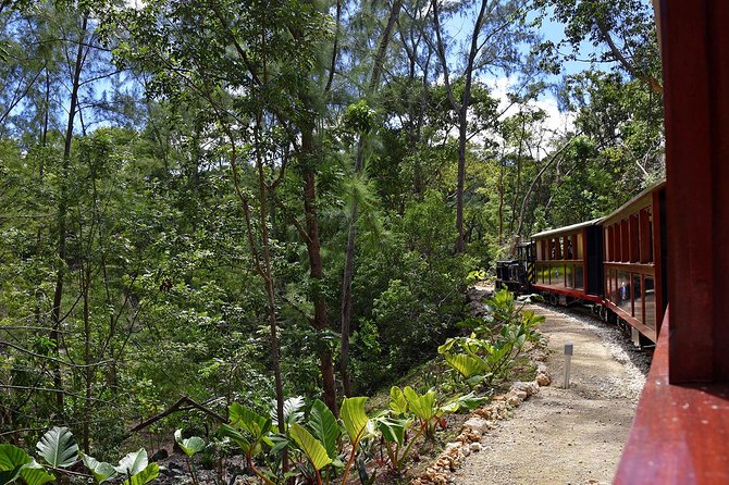 Victorian Steam Railway to Cherry Tree Hill + Great House Tour - Is $35 good value?