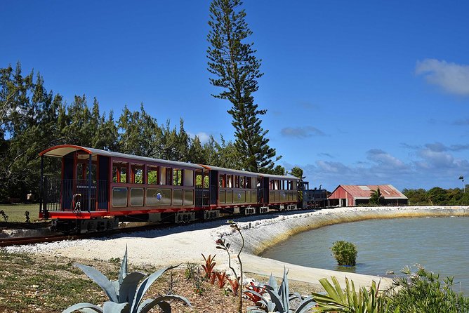 Victorian Steam Railway to Cherry Tree Hill + Great House Tour - Who will enjoy this most?