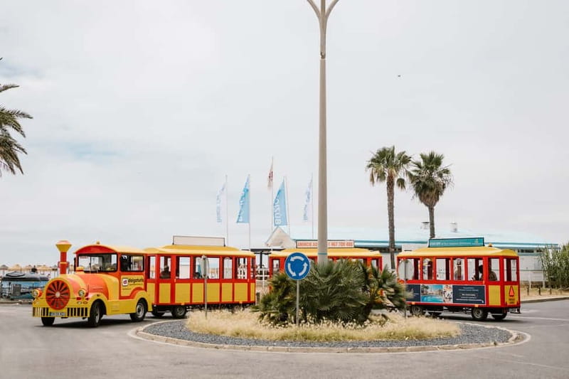 Vilamoura: Tourist Train City Tour - What the Vilamoura tourist train actually offers