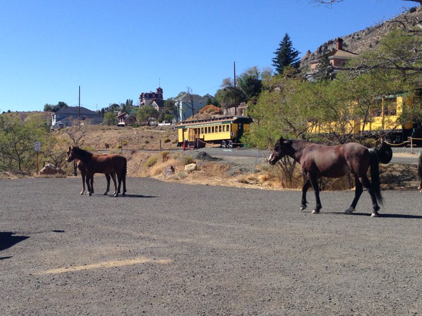 Virginia City Day Tour From Lake Tahoe with Train Ride - The South Lake Tahoe pickup and bus ride