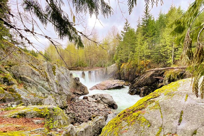 Whistler Train Wreck, Suspension Bridge & Hidden Waterfall Adventure - Meeting Ryan at the Gondola Transit Exchange