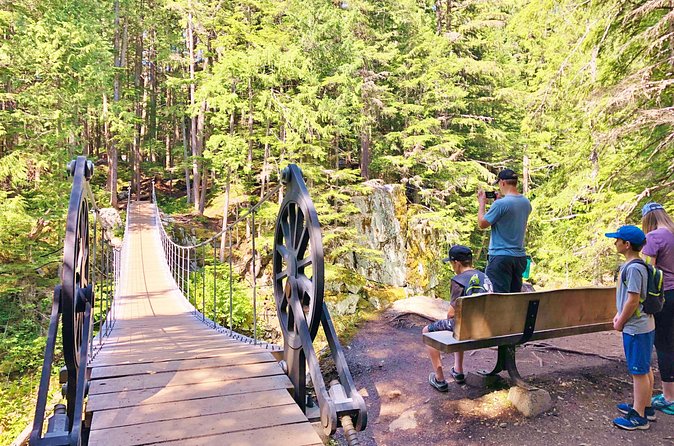Whistler Train Wreck, Suspension Bridge & Hidden Waterfall Adventure - Should you book the Whistler Train Wreck adventure?
