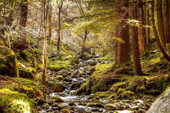 Wicklow Mountains, Avoca and Glendalough Rail Tour from Dublin - Who will enjoy this Wicklow day trip?