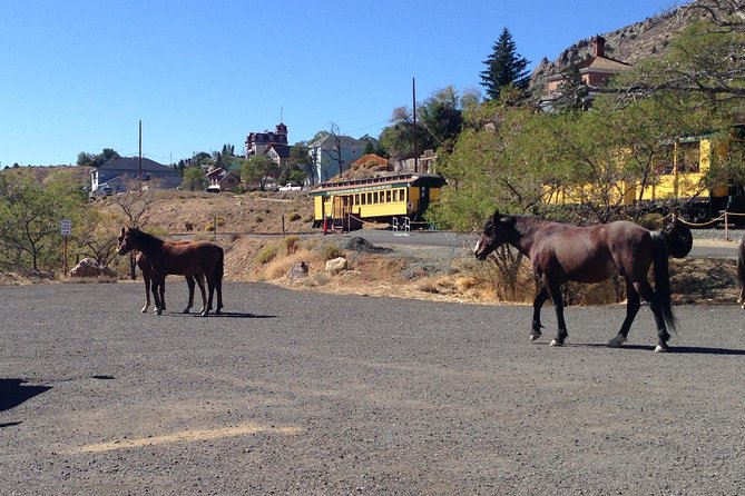 Wild West Day Trip to Virginia City from Tahoe with Train Ride - Practical advice for a smoother day