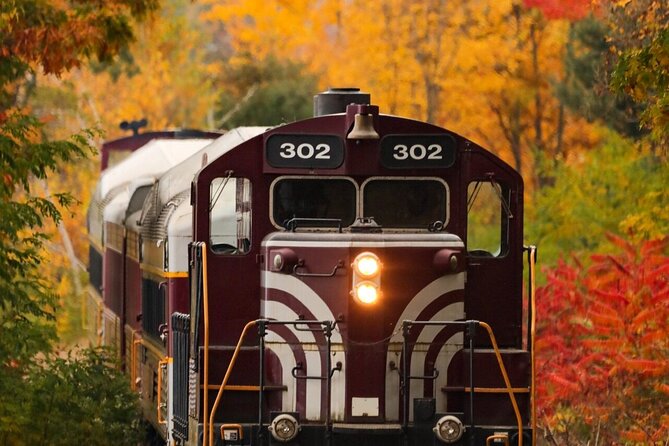 Winnipesaukee Scenic Railroad - Comfort, Food, and Group Size
