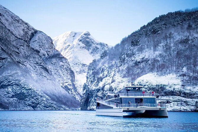Winter Tour Viking Village, Nærøyfjord Cruise and Flåm Railway - Changing trains at Myrdal