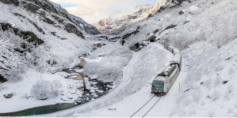 Winter Tour Viking Village, Nærøyfjord Cruise & Flåm Railway - Key points at a glance