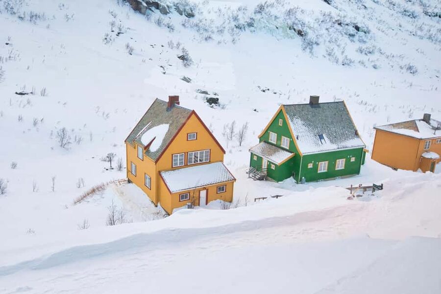 Winter Tour Viking Village, Nærøyfjord Cruise & Flåm Railway - The Flåm Railway climbs to Myrdal