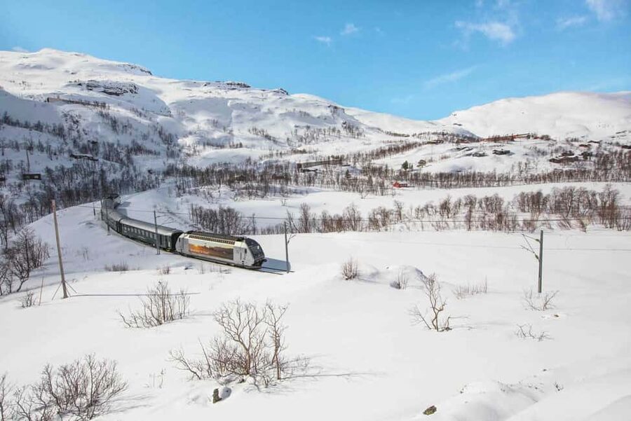 Winter Tour Viking Village, Nærøyfjord Cruise & Flåm Railway - Who will enjoy this full-day combination?