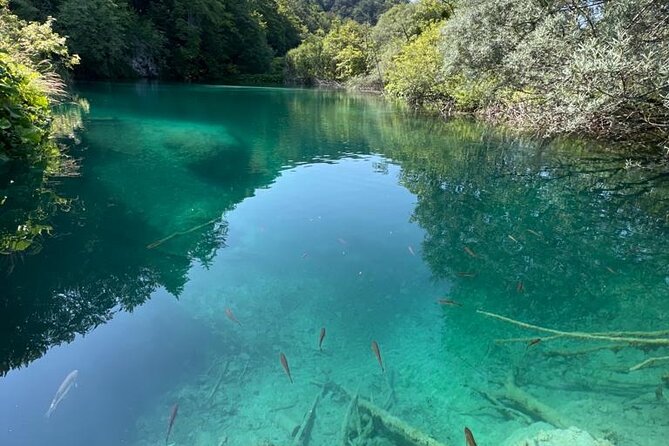 Zagreb: Plitvice Lakes With Secured Tickets, Boat And Train Ride - Rastoke, Croatia’s smaller waterfall village