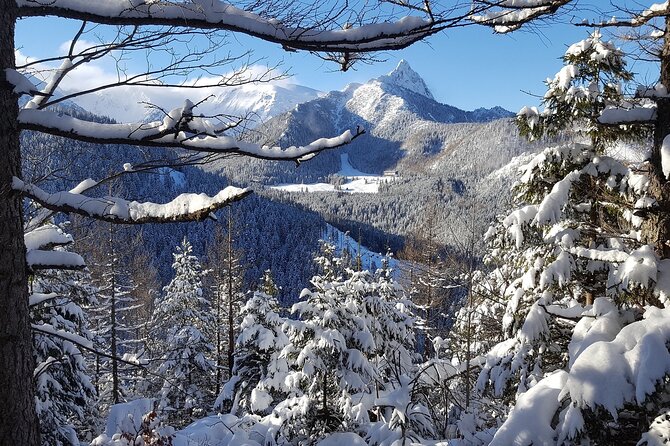 Zakopane & Gubalowka Funicular - Private Winter Tour from Krakow - Zakopane: four hours in Poland’s winter resort