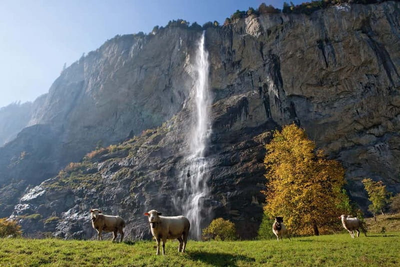 Zurich: Day Trip to Grindelwald, Interlaken & Lauterbrunnen - Interlaken: A Short First Taste of the Alps