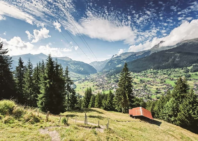 Zurich: Day Trip to Grindelwald, Interlaken & Lauterbrunnen - Who Will Enjoy This Tour Most